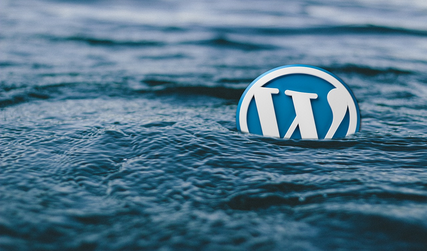 WordPress logo in water image