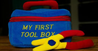 Picture of a toy toolbox and pliers