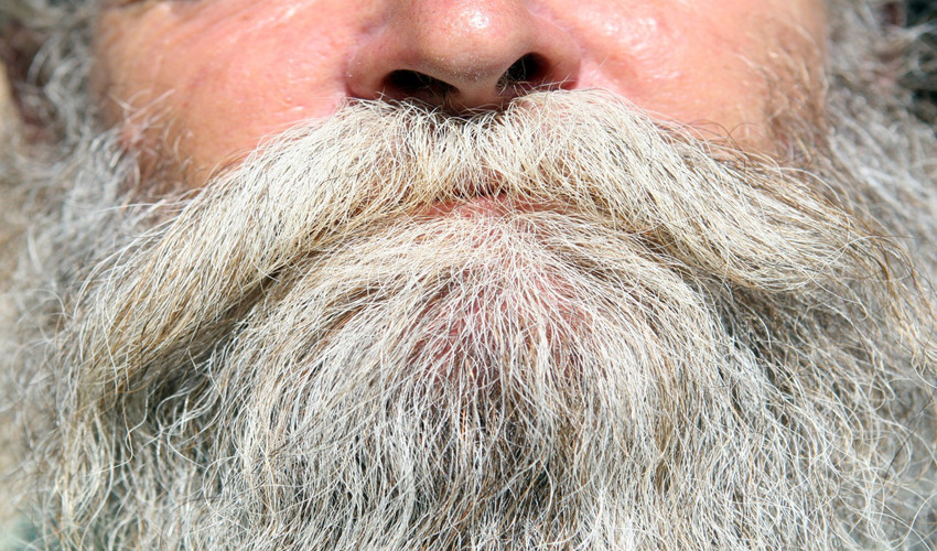 Cropped image of grey beard