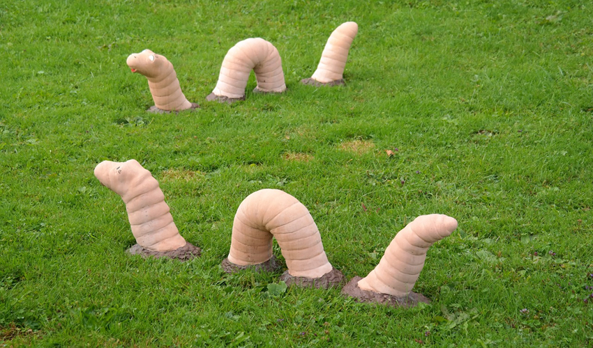 large worms emerging from ground
