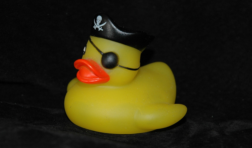 rubber duck with pirate patch