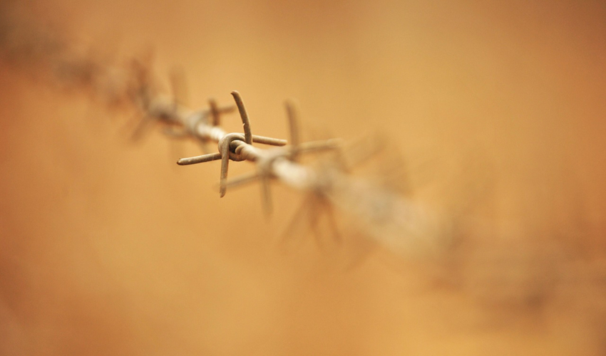 Out of focus photo of barbed wire