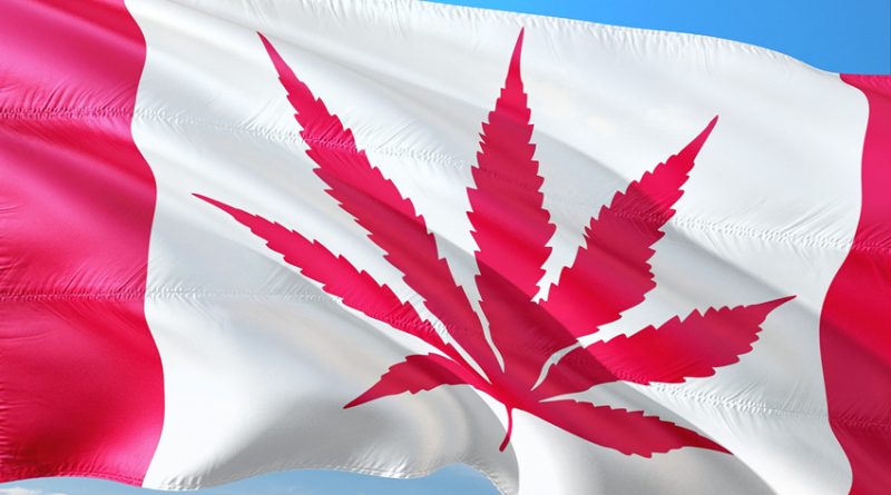Canadian flag with weed instead of maple