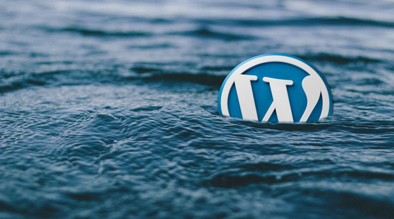 WordPress logo floating in the sea